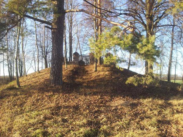 Paliepių Grūžių dvaro kapinaitės. Nuotrauka iš Pasvalio Mariaus Katiliškio viešosios bibliotekos Krašto kultūros dokumentavimo centro fondų, 2015